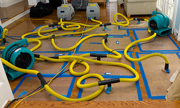 Professional Basement Flood Cleanup technician working in White, GA